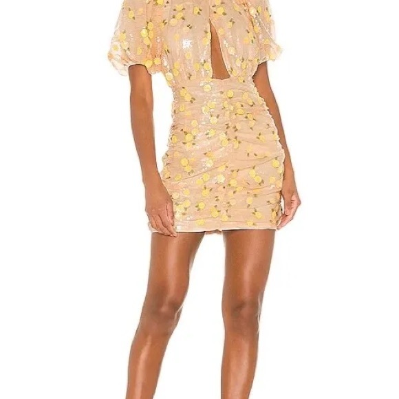 For Love & Lemons Sequins Dress - Picture 11 of 12
